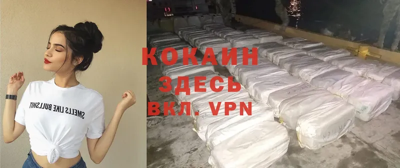 COCAIN VHQ  Новосиль 